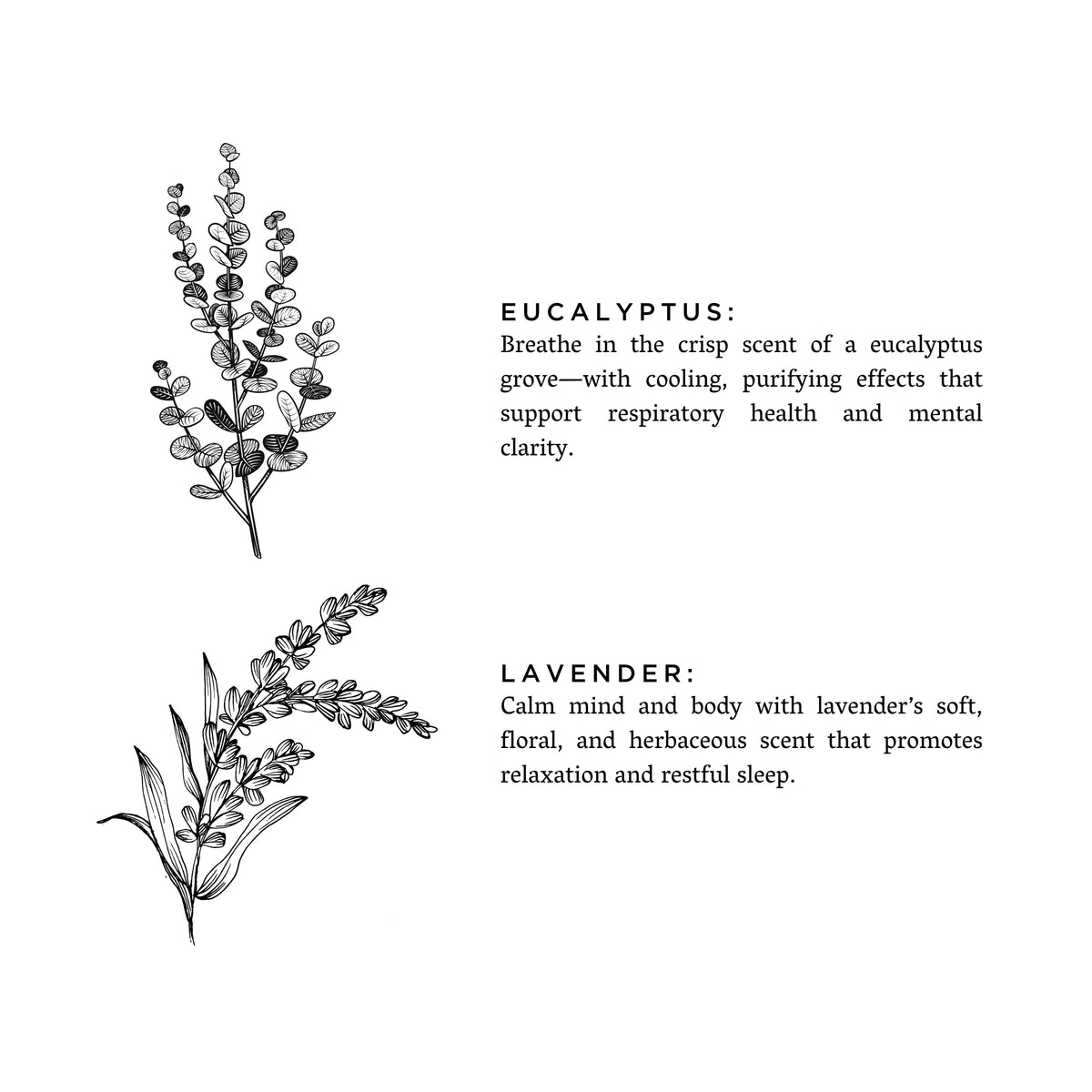 Linen Spray - Eucalyptus + Lavender