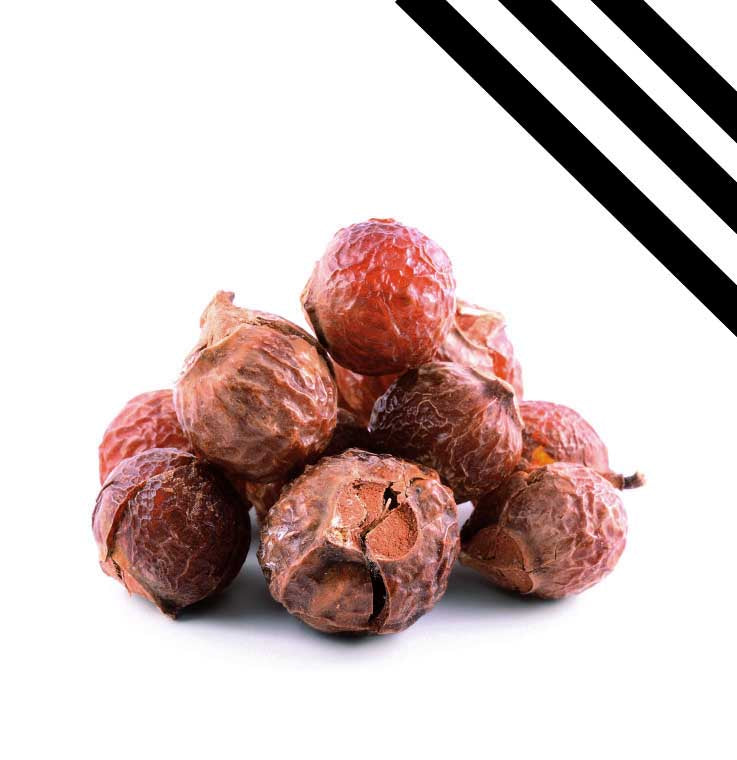 Lavé Nuts® Starter Kit – Organic Soap Nuts Laundry Detergen