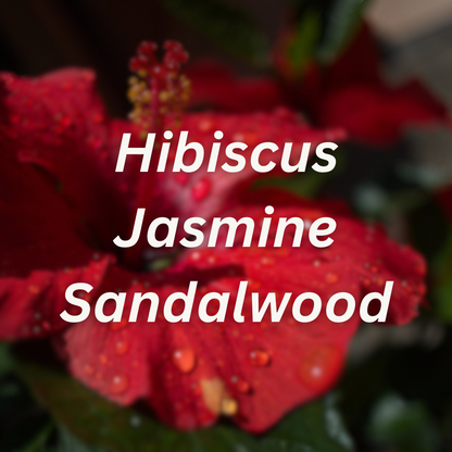 Hibiscus &amp; Pale Amber Scent Booster