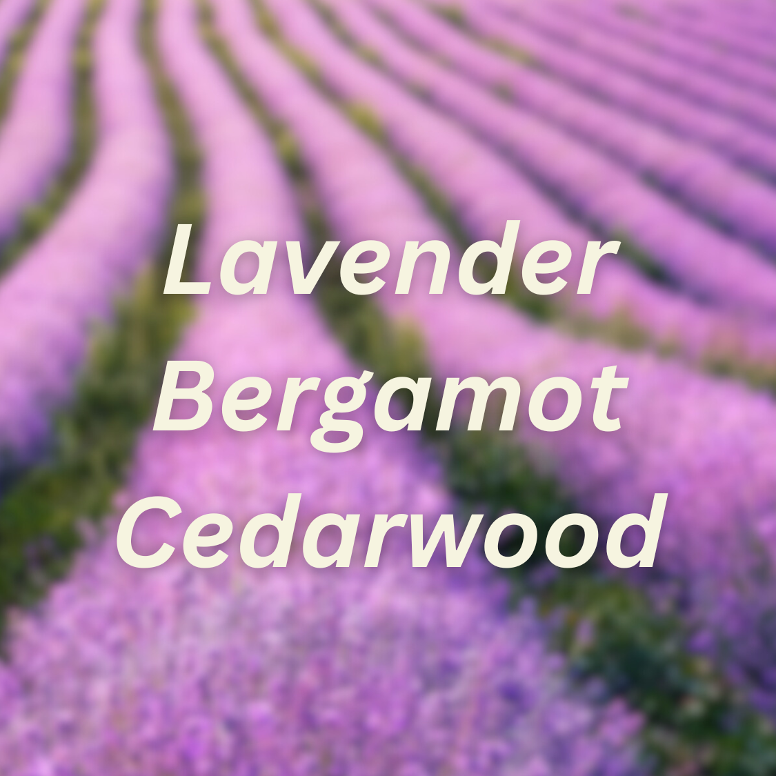Lavender Fields Laundry Soap