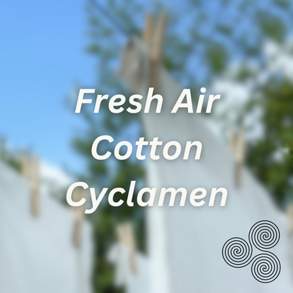 Laundry Day Scented &amp; Softening Dryer Balls
